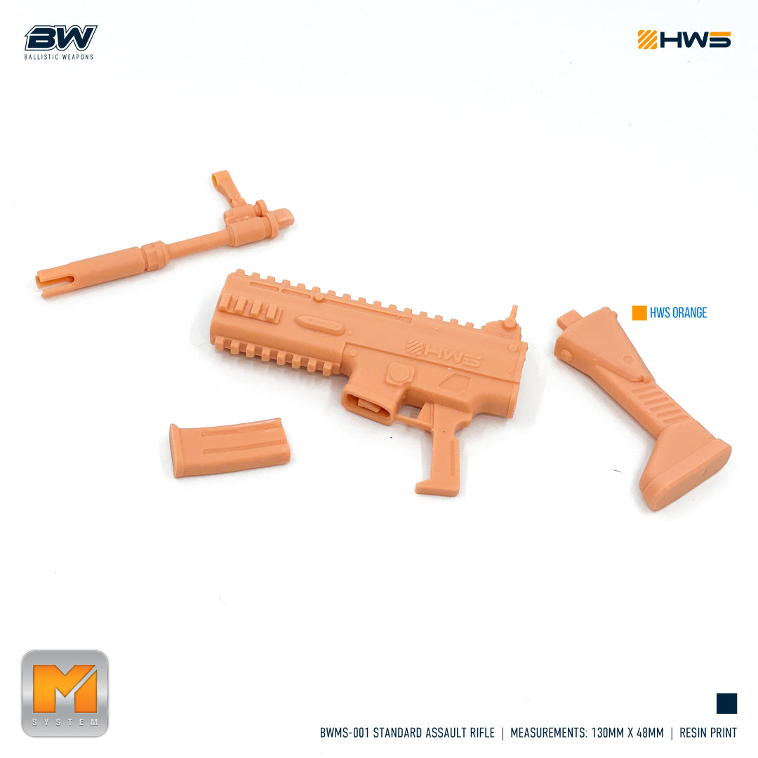 HWS BWMS-001 Standard Assault Rifle 1/100