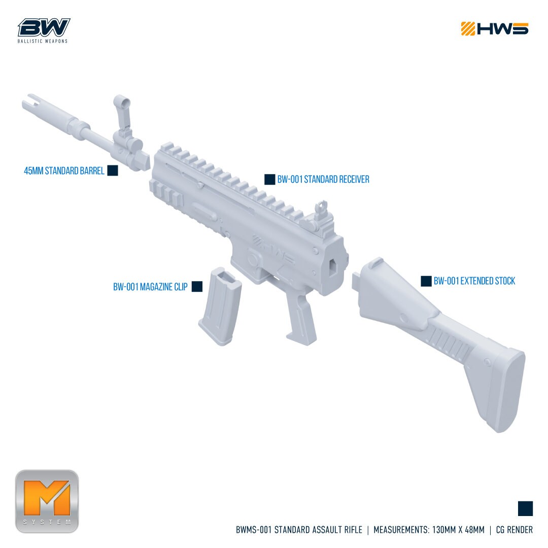 HWS BWMS-001 Standard Assault Rifle 1/100