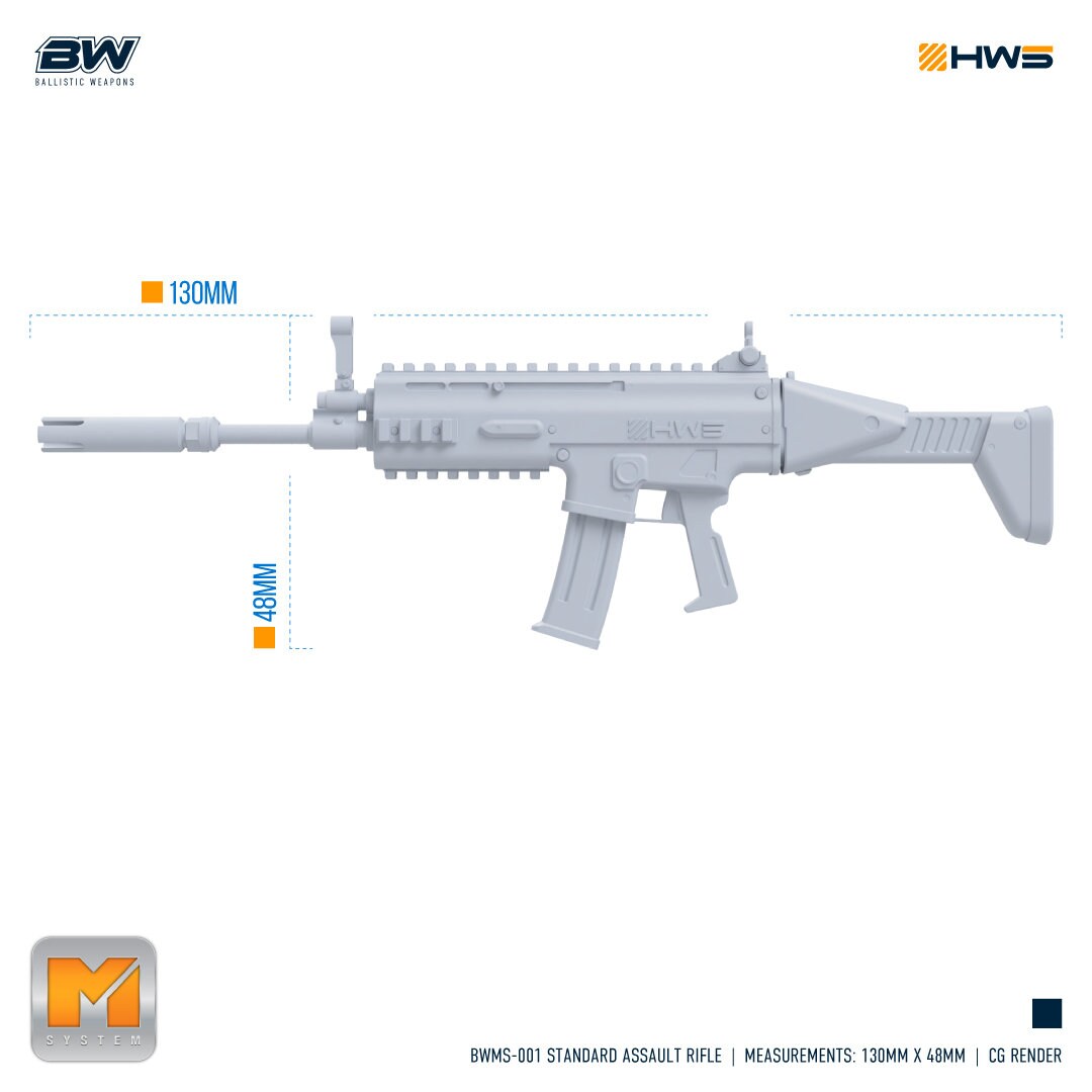 HWS BWMS-001 Standard Assault Rifle 1/100