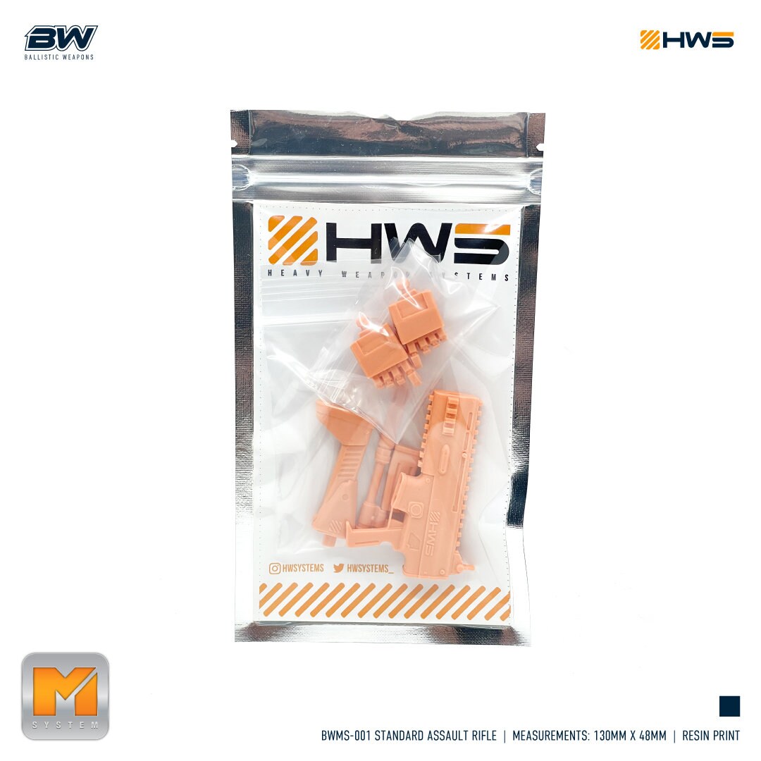 HWS BWMS-001 Standard Assault Rifle 1/100