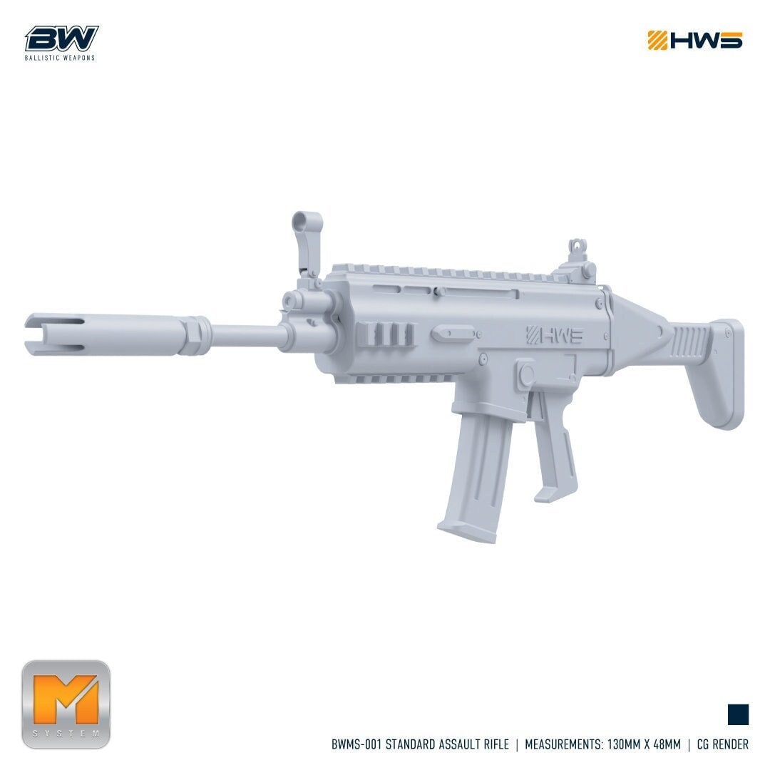 HWS BWMS-001 Standard Assault Rifle 1/100